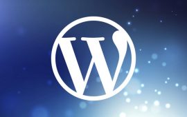 Инструкция по работе с сайтом на WordPress (+ 8 видео)